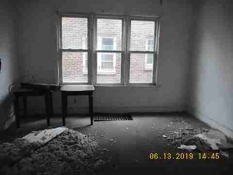 8266 Badger (21)_m.jpg